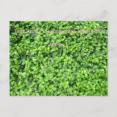 Packed with greenery postkarte (Vorderseite)