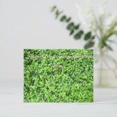Packed with greenery postkarte (Stehend Vorderseite)
