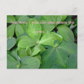 Packed with greenery postkarte (Vorderseite)