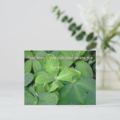 Packed with greenery postkarte (Stehend Vorderseite)