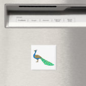 Packer Peacock Magnet (In Situ (Geschirrspüler))
