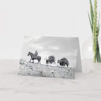 Packing out Christmas Trees Feiertagskarte