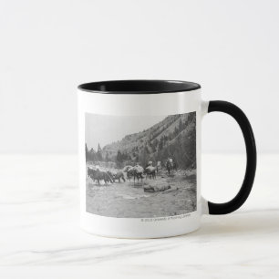 Packmulis über einen Fluss treiben Tasse