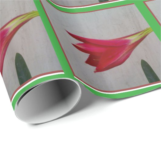 Packpapier (Rolleneckpunkt)