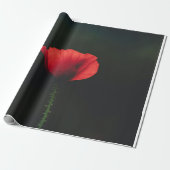 Packpapier (Ungerollt)