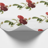 Packpapier, 30" x 6" GLÜCK SEED ROSE Geschenkpapier (Ecke)