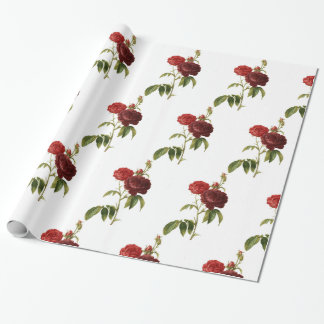 Packpapier, 30" x 6" GLÜCK SEED ROSE Geschenkpapier
