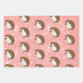 Packpapier für Funky Igel Geschenkpapier Set (Vorderseite 3)