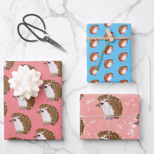 Packpapier für Funky Igel Geschenkpapier Set (Vorderseite)