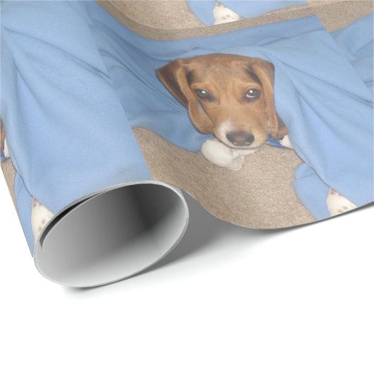 Packpapier für Hunde-Foto (Rolleneckpunkt)