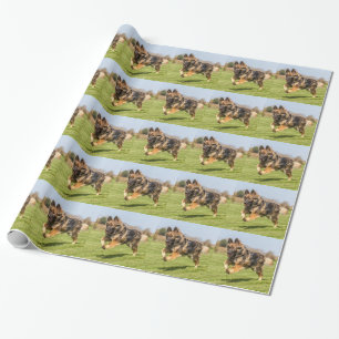 Packpapier mit Schäferhund-Hundeelsässer