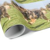 Packpapier mit Schäferhund-Hundeelsässer (Rolleneckpunkt)