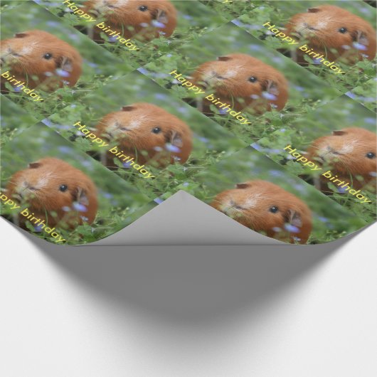 Packpapieringwermeerschweinchen personifizieren geschenkpapier (Ecke)