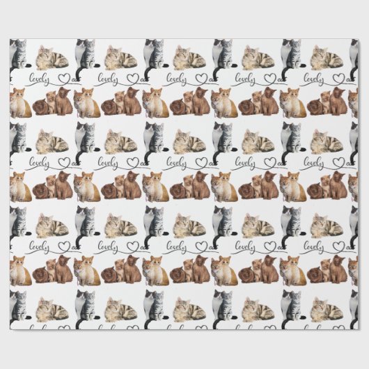 Packung mit Katzen, Funny Cats Geschenkpapier (Flach)