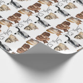 Packung mit Katzen, Funny Cats Geschenkpapier (Ecke)