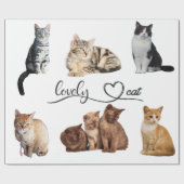 Packung mit Katzen, Funny Cats Geschenkpapier (Flach)