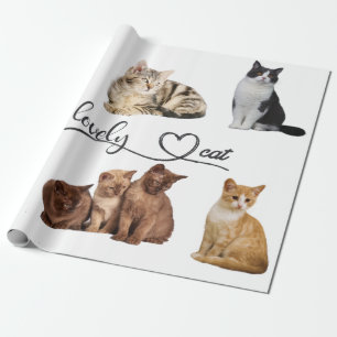 Packung mit Katzen, Funny Cats Geschenkpapier