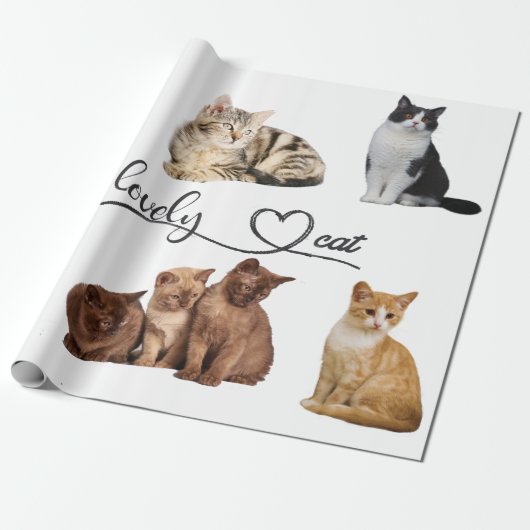 Packung mit Katzen, Funny Cats Geschenkpapier (Ungerollt)