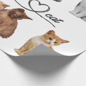 Packung mit Katzen, Funny Cats Geschenkpapier (Ecke)