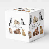 Packung mit Katzen, Funny Cats Geschenkschachtel (Vorderseite)