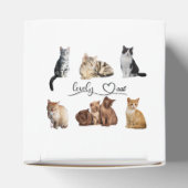 Packung mit Katzen, Funny Cats Geschenkschachtel (Oben)