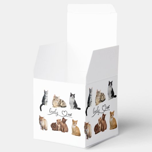 Packung mit Katzen, Funny Cats Geschenkschachtel (Geöffnet)
