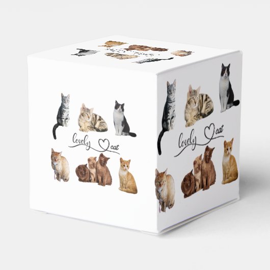 Packung mit Katzen, Funny Cats Geschenkschachtel (Rückseite)