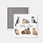 Packung mit Katzen, Funny Cats Magnet (Vorderseite/Rückseite)