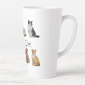 Packung mit Katzen, Funny Cats Milchtasse (Rechts)