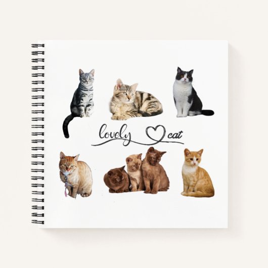 Packung mit Katzen, Funny Cats Notizblock (Vorderseite)