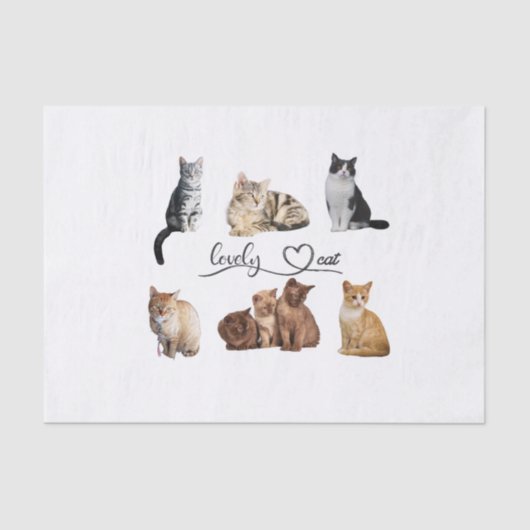 Packung mit Katzen, Funny Cats Seidenpapier (Vorderseite)