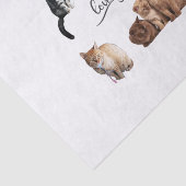 Packung mit Katzen, Funny Cats Seidenpapier (Ausschnitt)