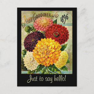 Packung mit Vintagen Blume - Postkarte