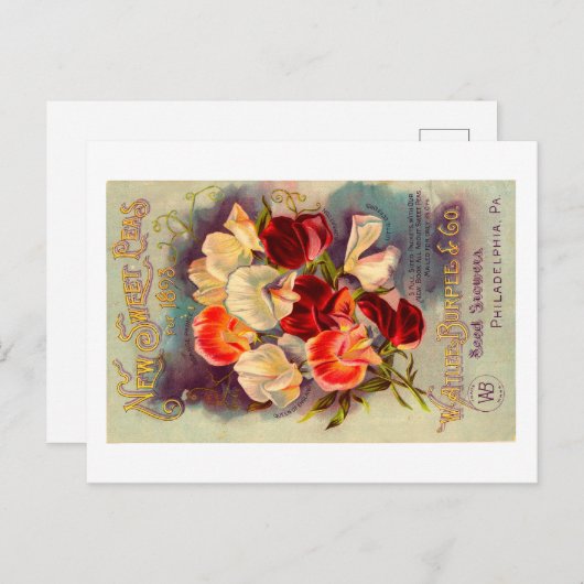 Packungsbeilage Postkarte. Postkarte (Vorne/Hinten)