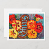 Packungsbeilage Postkarte. Postkarte (Vorne/Hinten)