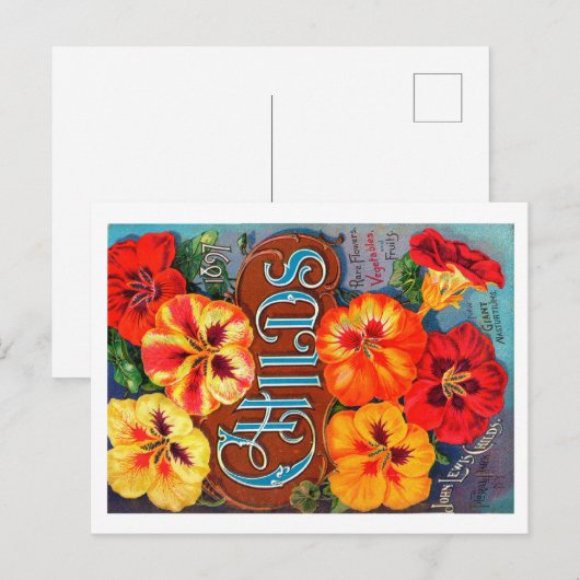 Packungsbeilage Postkarte. Postkarte (Vorne/Hinten)