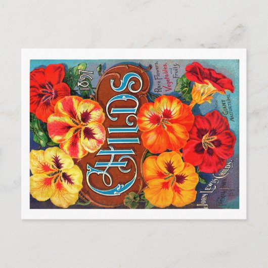 Packungsbeilage Postkarte. Postkarte (Vorderseite)