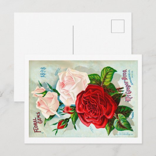 Packungsbeilage Postkarte. Postkarte (Vorne/Hinten)