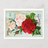 Packungsbeilage Postkarte. Postkarte (Vorderseite)