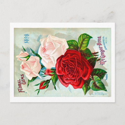 Packungsbeilage Postkarte. Postkarte (Vorderseite)