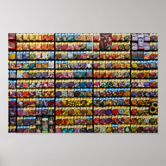 Packungsdoster Poster (Vorne)