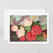 Packungskarten für Saatgut Postkarte (Vorne/Hinten)