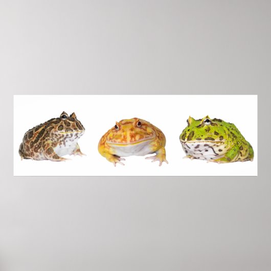 Pacman Poster Panorama (Vorne)