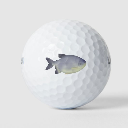 Pacu caranha golfball (Vorderseite)