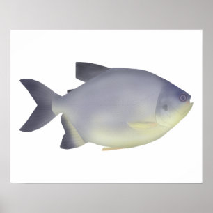 Pacu caranha poster