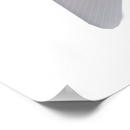 Pacu Murutinga Poster (Ecke)