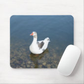 Pad Mousepad (Mit Mouse)