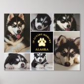 Pad Print Pet in Love Memory Black Foto Collage Foliendrucke (Vorderseite)