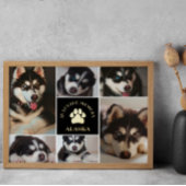 Pad Print Pet in Love Memory Black Foto Collage Foliendrucke