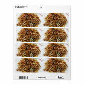 Pad Thai [ผั ด ท ย] Thailand Street Food (Vorne)